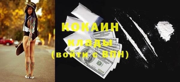 индика Верхний Тагил