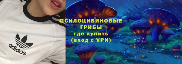индика Верхний Тагил