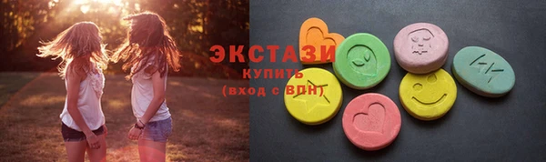 индика Верхний Тагил