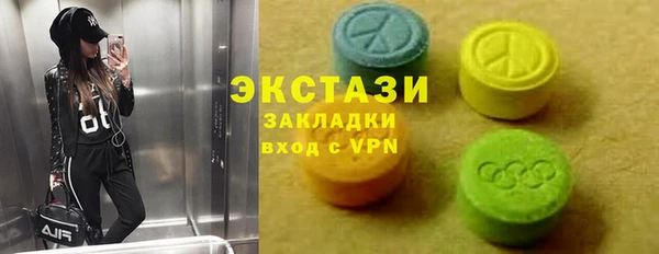 индика Верхний Тагил