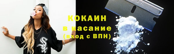 индика Верхний Тагил