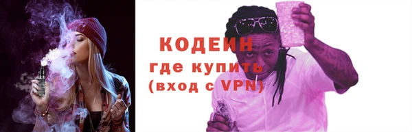 индика Верхний Тагил