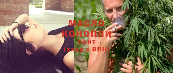 индика Верхний Тагил