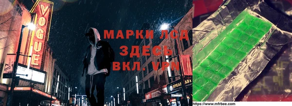 индика Верхний Тагил