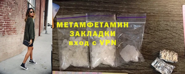 индика Верхний Тагил
