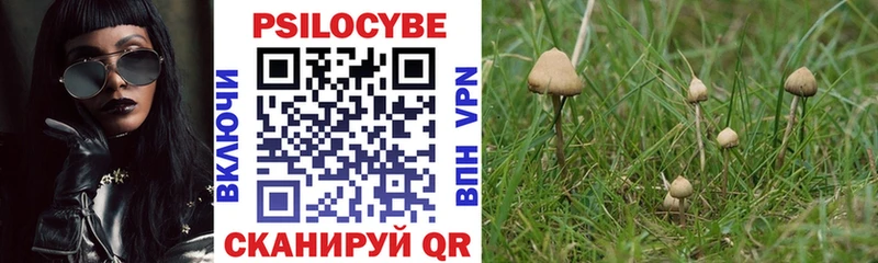 Галлюциногенные грибы Psilocybe  Лысково 